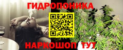 гидра Пенза