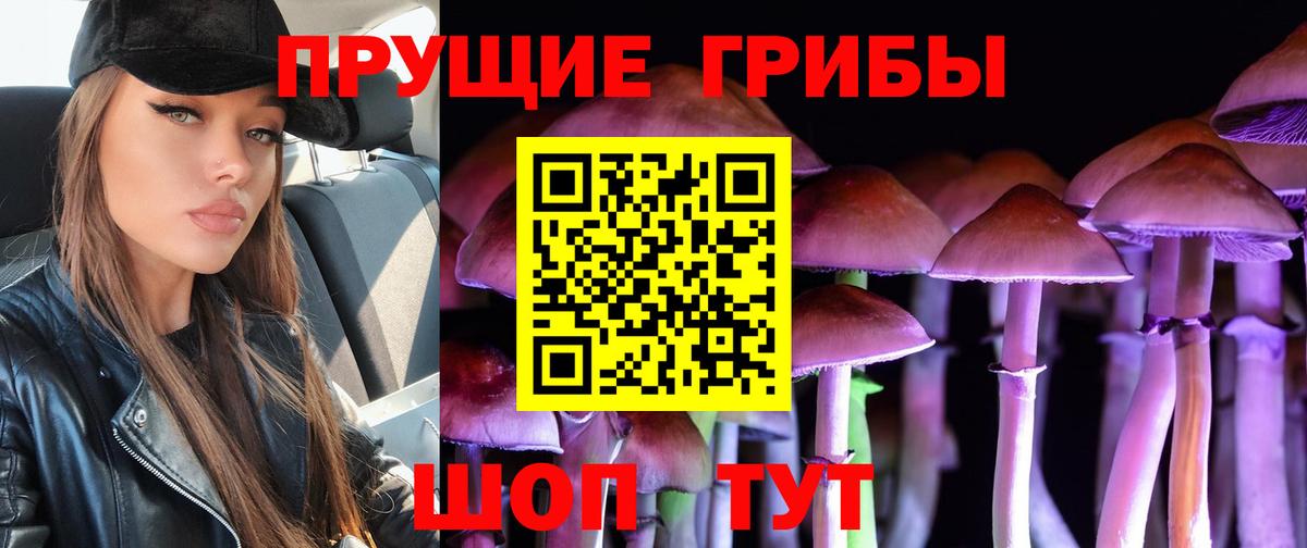 Псилоцибиновые грибы Cubensis Ставрополь