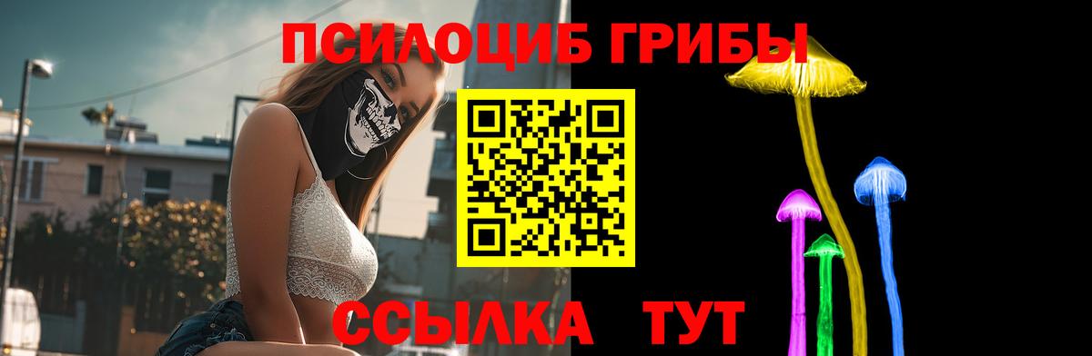 Ставрополь  Галлюциногенные грибы Psilocybine cubensis  Вход с VPN 